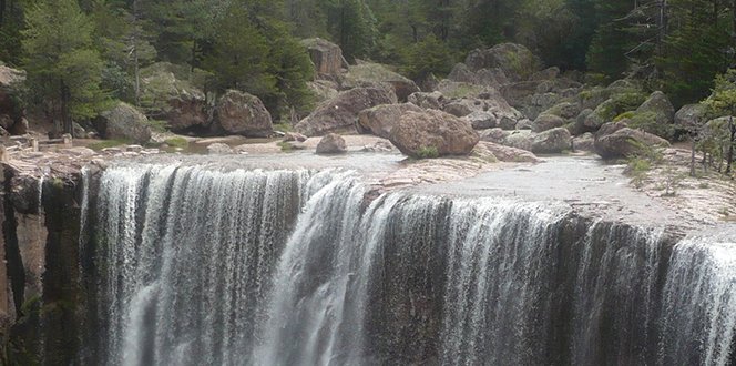 Imagen 2